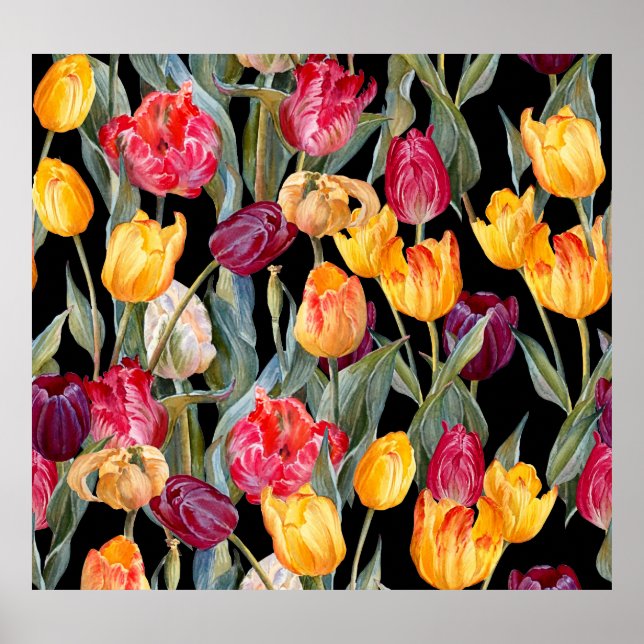 Colourful tulips, isolated black background. poster (Front)