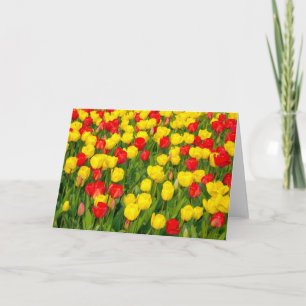 Colourful Tulips IV Card