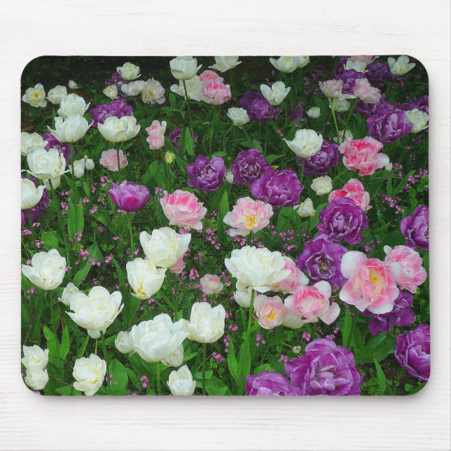 Colourful Tulips Mouse Pad (Front)