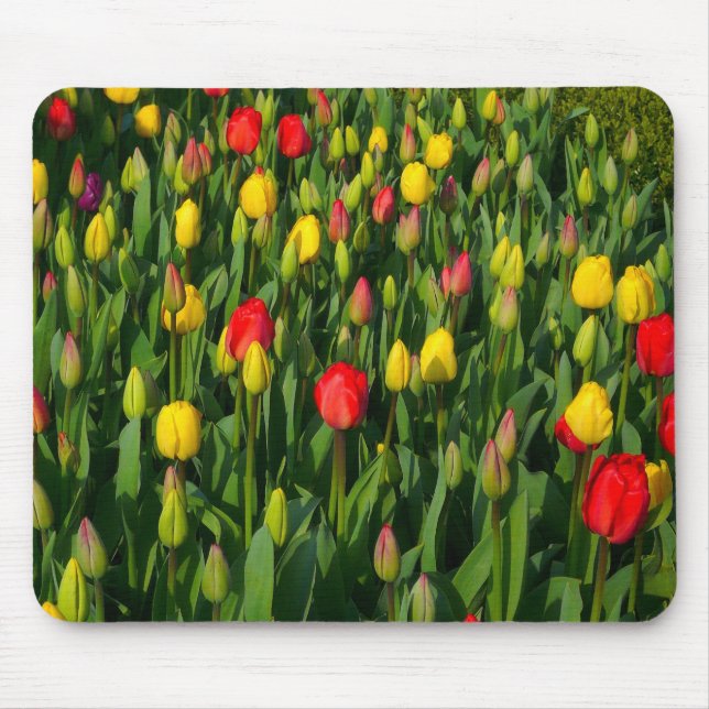Colourful Tulips Mouse Pad (Front)
