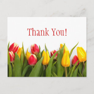 Colourful Tulips Postcard
