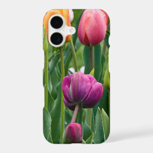 Colourful Tulips Print