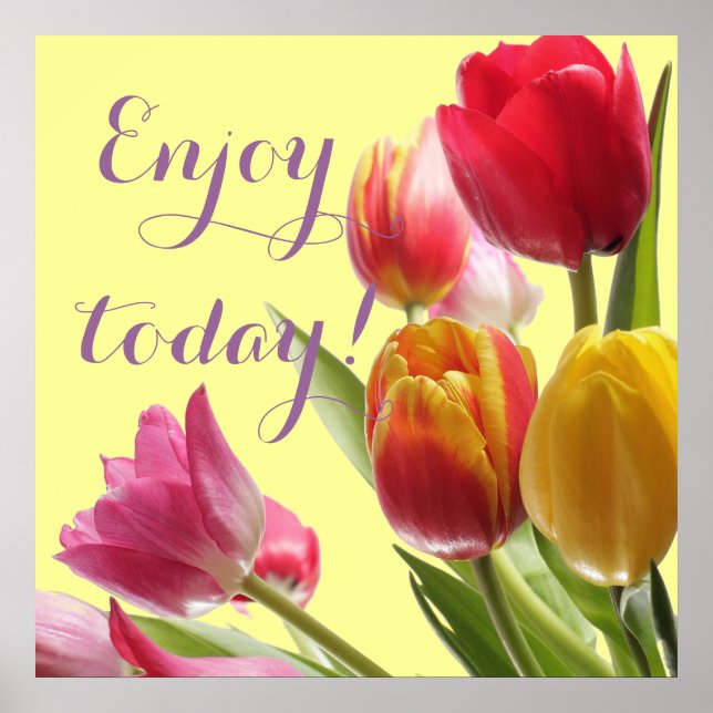 Colourful Tulips with Customisable Quotation Poster (Front)