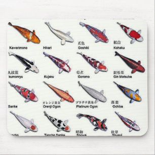 Colourful Varieties of Koi Fish Nishikigoi Drawing Mouse Pad
