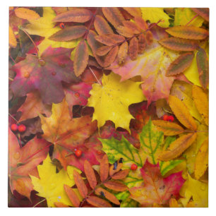 Colourful Vibrant Autumn Leaves Nature Photography Ceramic Tile