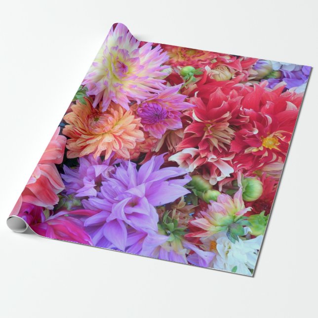 Colourful Vibrant Dahlia Flowers   Wrapping Paper (Unrolled)