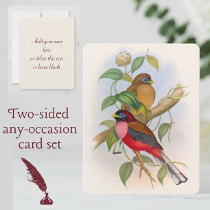 Colourful Vintage Bird Illustration Any Occasion Card