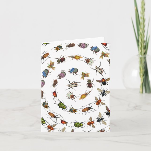 Colourful Vintage Bugs & Beetles Pattern Card (Front)