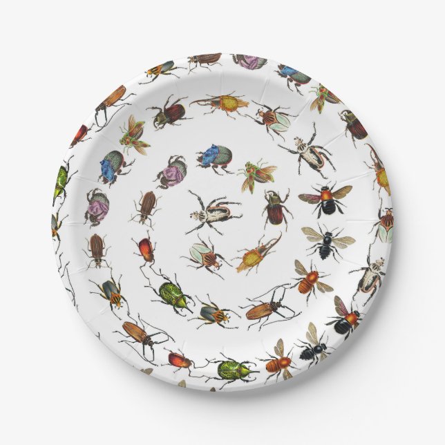 Colourful Vintage Bugs & Beetles Pattern Paper Plate (Front)