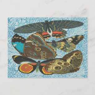 Colourful Vintage Butterfly Botanical Art Postcard