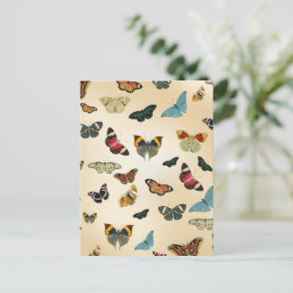colourful vintage Butterfly illustration Pattern Postcard