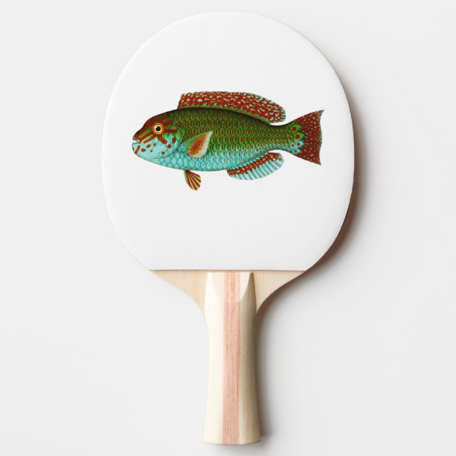 Colourful Vintage Fish Ping Pong Paddle (Front)