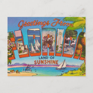 Colourful Vintage Florida  Postcard