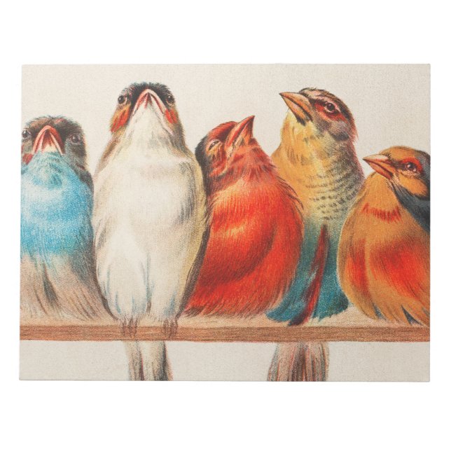 Colourful vintage illustration of five little bird notepad (Front)