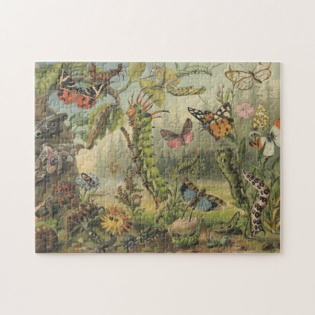 Colourful Vintage Insect Illustration   Jigsaw Puzzle (Horizontal)