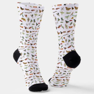 Colourful Vintage Insect Illustration Pattern  Socks