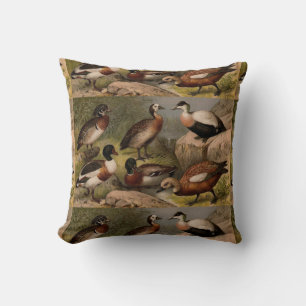 Colourful vintage painting of ducks cushion