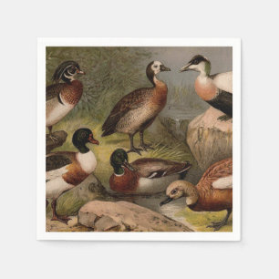 Colourful vintage painting of ducks napkin