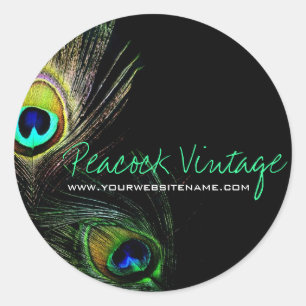 Colourful Vintage Peacock Feathers Stylish Photo Classic Round Sticker