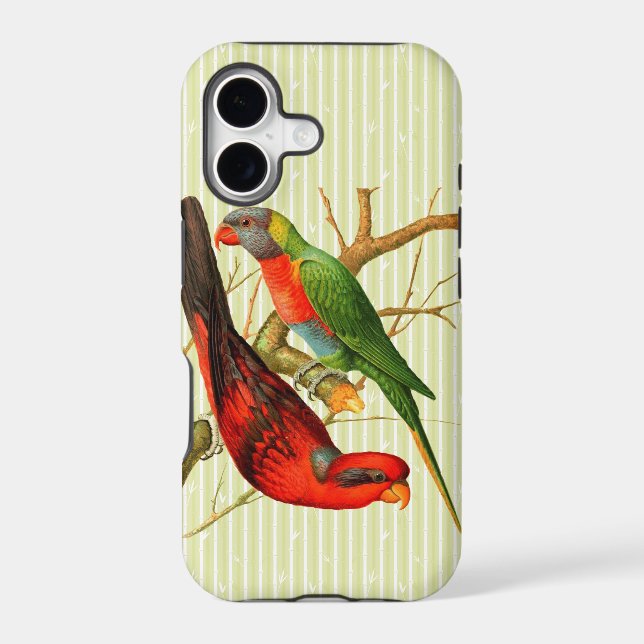 Colourful Vintage Red & Green Parrots Illustration (Back)