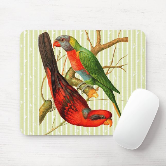Colourful Vintage Red & Green Parrots Illustration Mouse Pad (With Mouse)