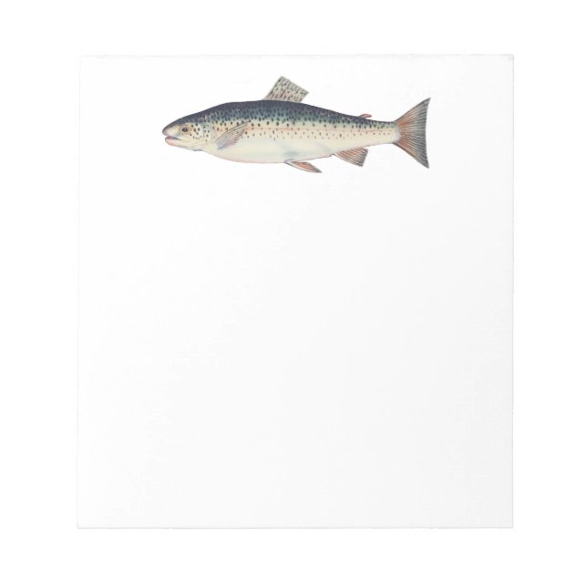 Colourful vintage salmon illustration notepad (Front)