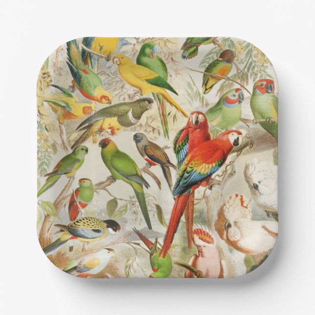 Colourful Vintage Tropical Birds Ara Parrots Paper Plate (Front)