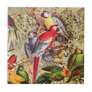 Colourful Vintage Tropical Birds Parrots Ceramic Tile