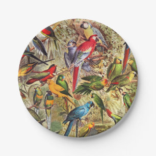 Colourful Vintage Tropical Birds Parrots Paper Plate