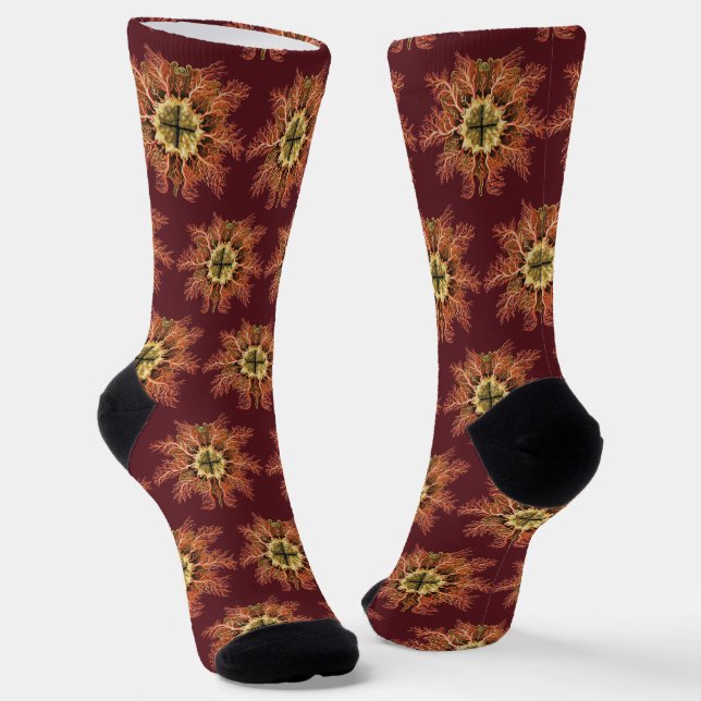 Colourful Vintage Tunicate illustration Socks (Angled)