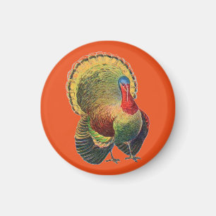 Colourful Vintage Turkey Magnet