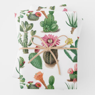 Colourful Watercolor Cactus & Succulents Flowers  Wrapping Paper Sheet