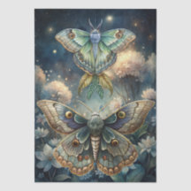 Colourful Watercolor Floral Luna Moths Decoupage