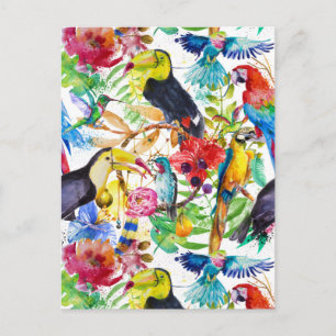 Colourful Watercolor Parrots 2 Postcard