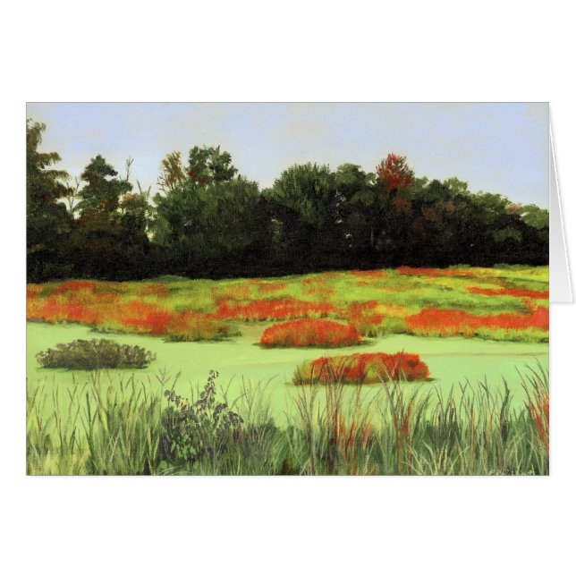 Colourful Wetlands (Front Horizontal)