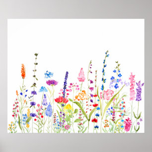colourful wild flower field  poster