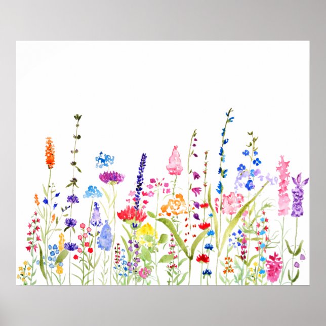 colourful wild flower field  poster (Front)