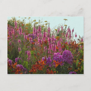 Colourful Wild Flowers DIY Postcard