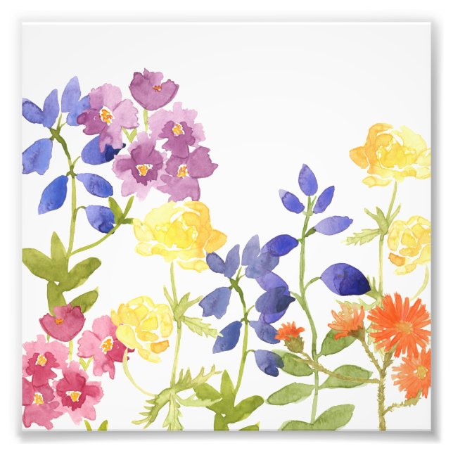 Colourful Wild Flowers Watercolour Photo Print (Front)
