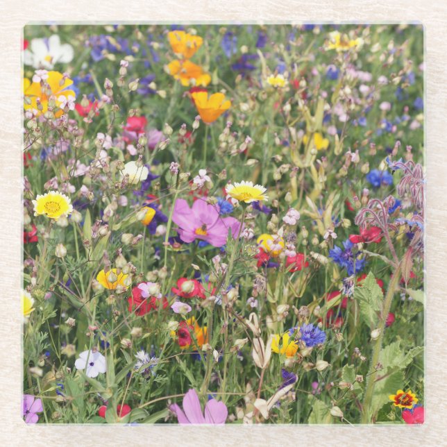 Colourful wildflower meadow, vibrant pattern. glass coaster (Front)