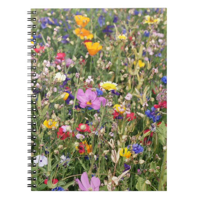 Colourful wildflower meadow, vibrant pattern. notebook (Front)