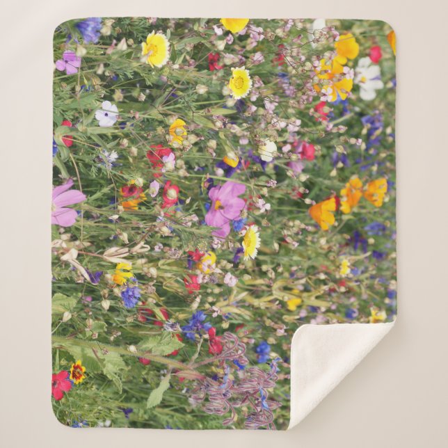 Colourful wildflower meadow, vibrant pattern. sherpa blanket (Front)