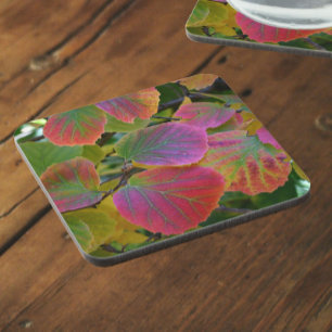 Colourful Witch-Alder Leaves Botanical Coaster