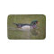 Colourful wood duck