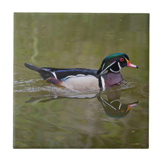 Colourful wood duck ceramic tile