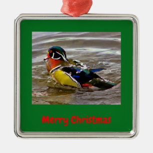 Colourful Wood Duck Drake Green Christmas Framed Metal Ornament