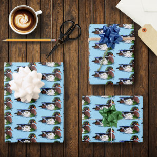 Colourful Wood Duck Water Lily Wildlife Blue Wrapping Paper Sheet