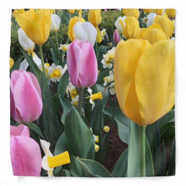 Colourful Yellow and Pink Tulips Fashion Bandanna (Front)