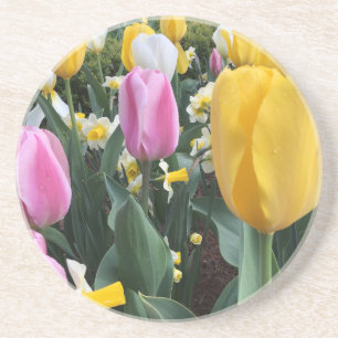 Colourful Yellow and Pink Tulips Sandstone Coaster