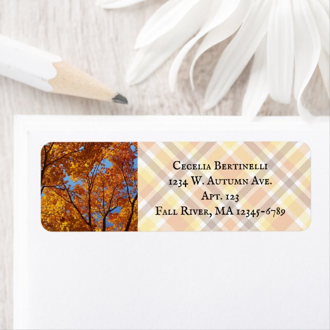 Colourful Yellw-Orange Sugar Maple Foliage / Fall Return Address Label (Insitu)